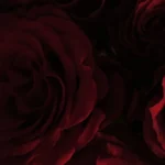Event Management Services